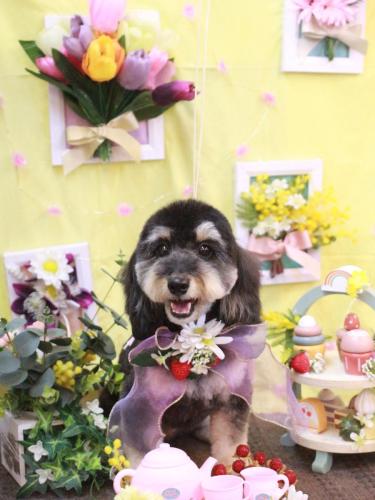 20230326シェリーちゃん